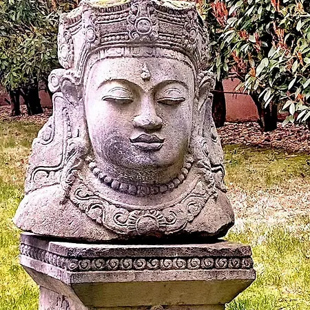 Balinaise * Gaujac (Gard)